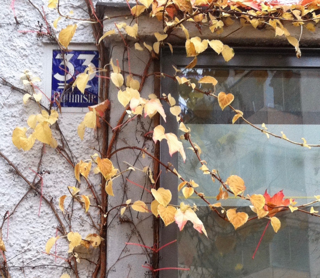 Fassade und Eingang der Ruffinipraxen in der Ruffinistraße 33